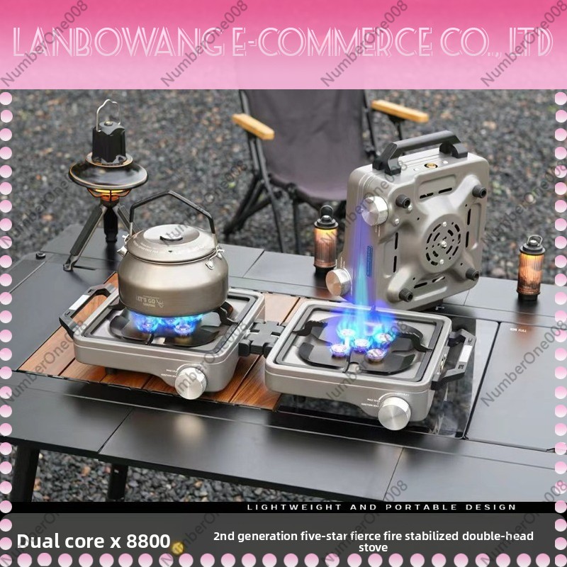 Outdoor Dual Burner High Power - Camping Cooking Meat 评论和价格