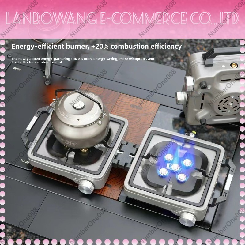 Outdoor Dual Burner High Power - Camping Cooking Meat 评论和价格