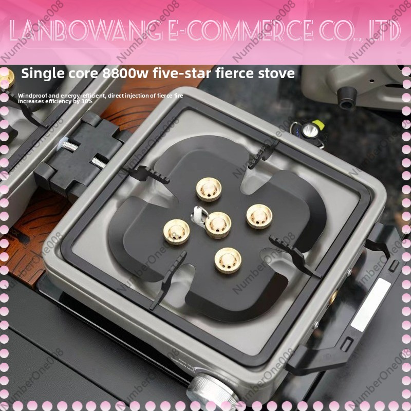 Outdoor Dual Burner High Power - Camping Cooking Meat 评论和价格